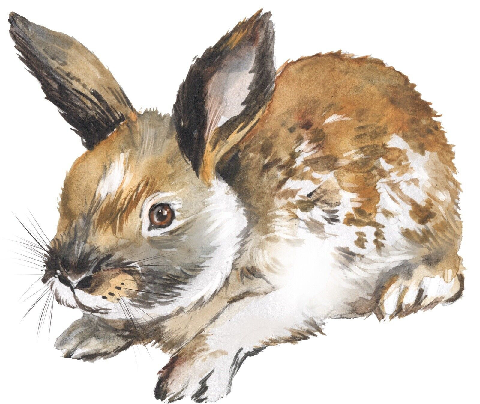Brown White Rabbit Bunny Sticker Decal