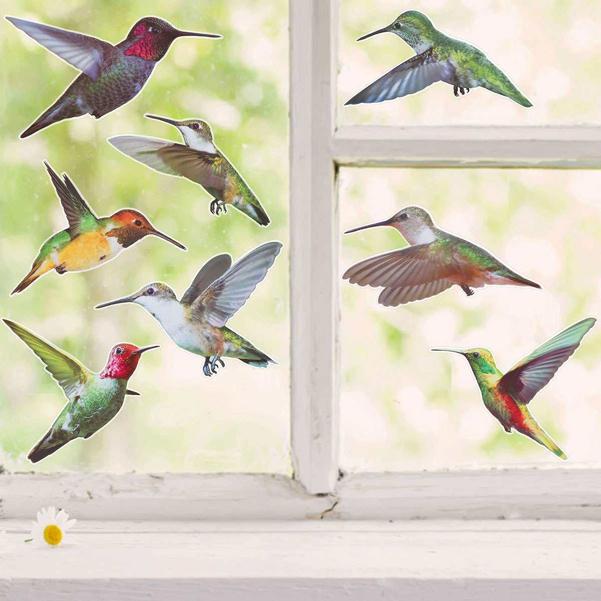 Large Anti Collision Window Decals for Bird Strikes, Stop Birds, 9 Pieces