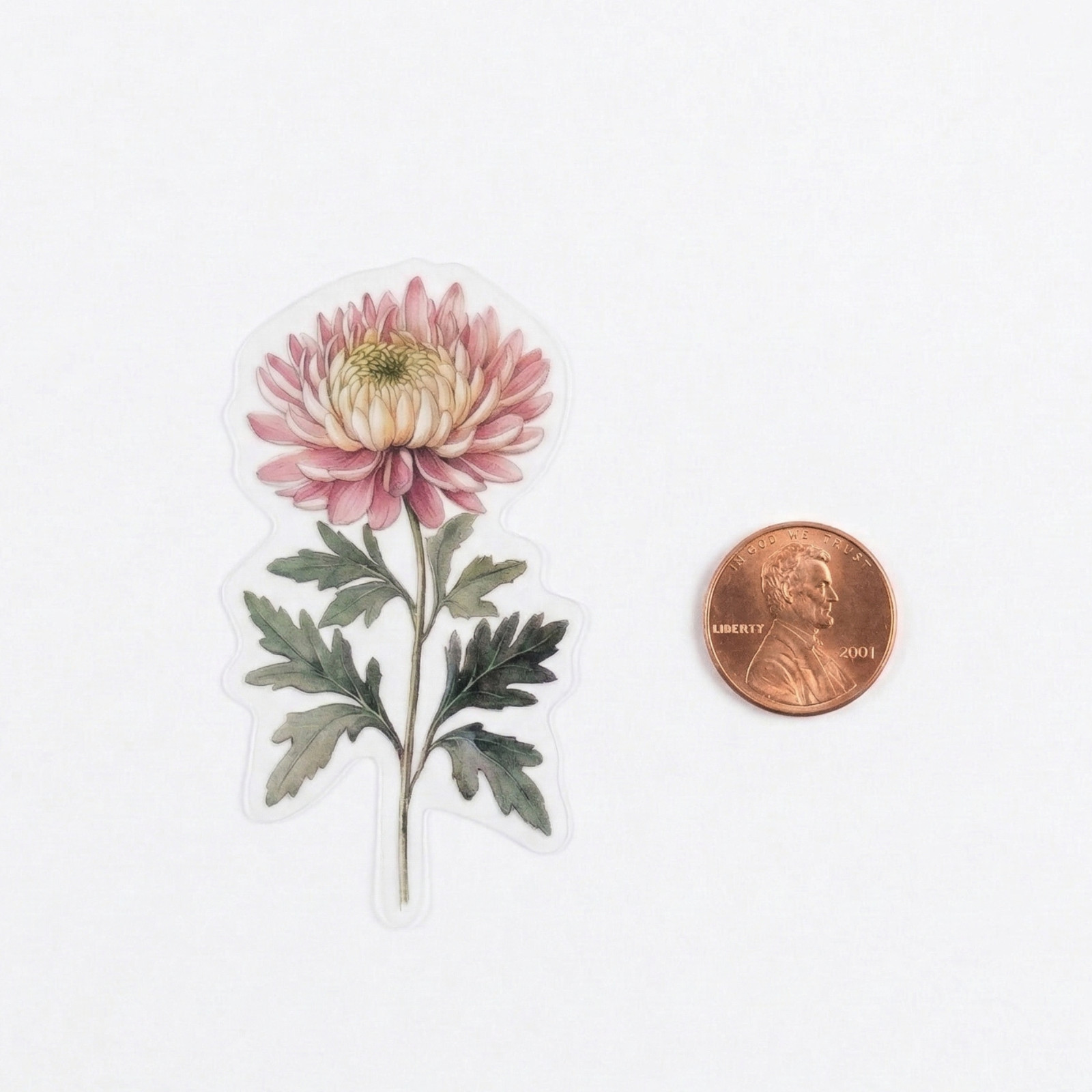 Aesthetic Pink Mophead Chrysanthemum Sticker |Botanical Flower Journaling Decal