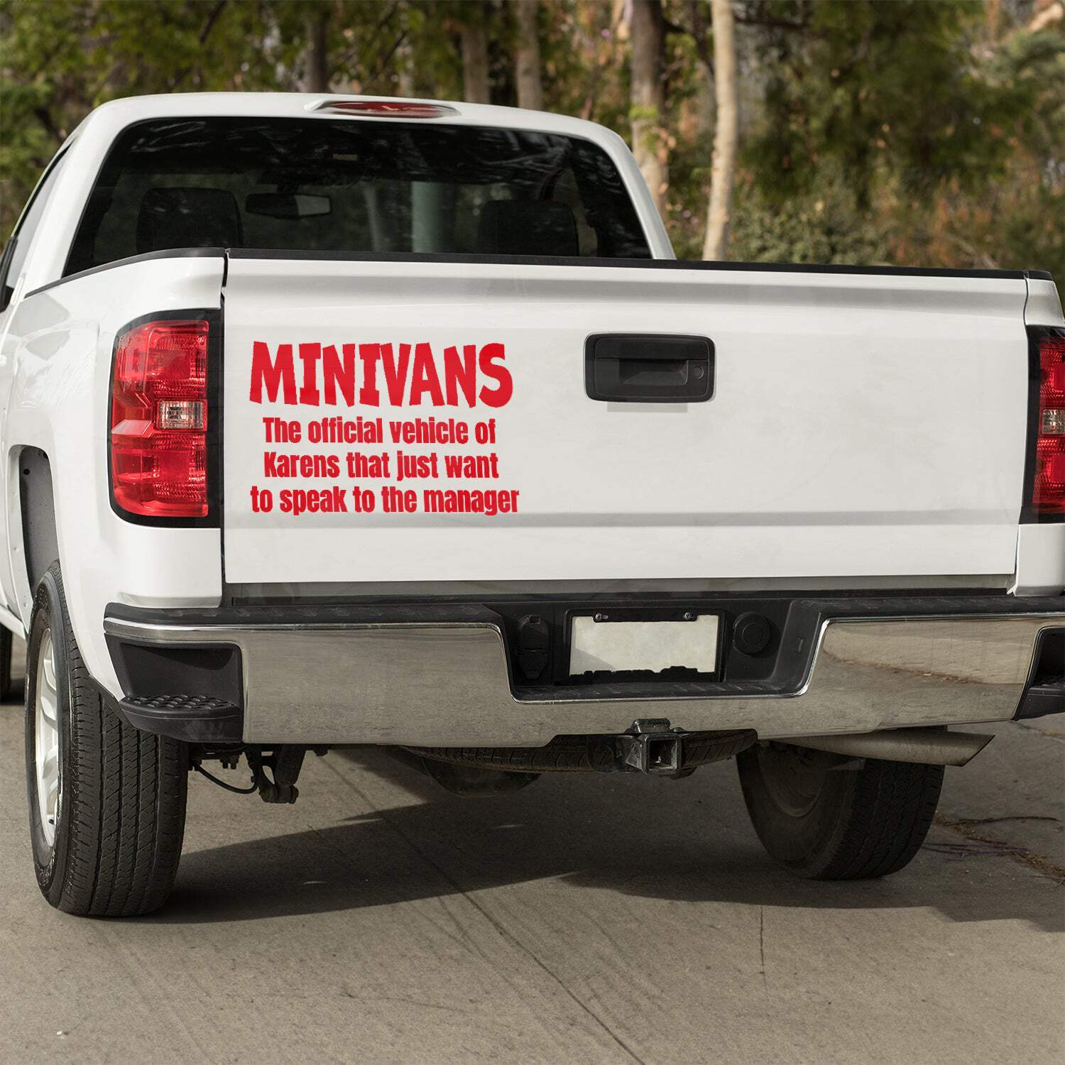 Minivans the official vehicle of Karens that just want to speak to the manager V