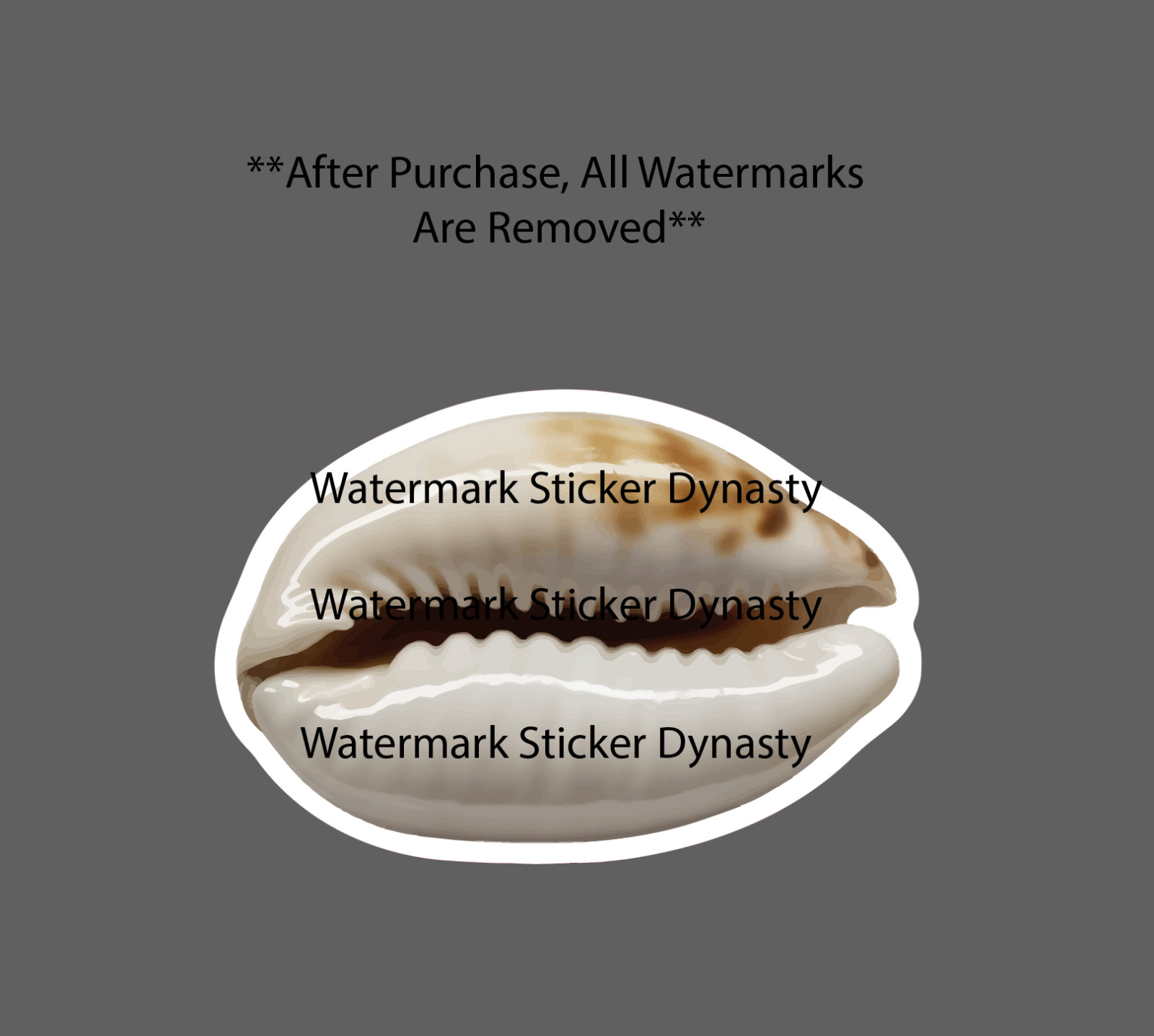 Cowrie Shell Sticker Waterproof Decal Beach Ocean Nautical Waves Travel Gift NEW