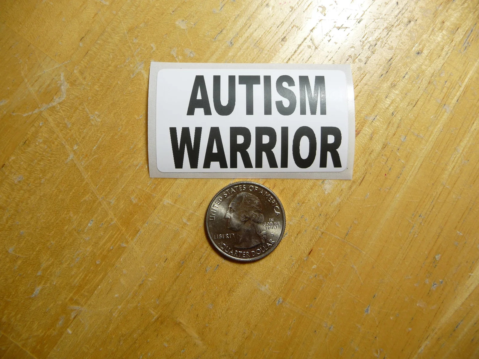 AUTISM WARRIOR STICKER DECAL 1 – 50 BULK PACK SUPPORT AWARENESS
