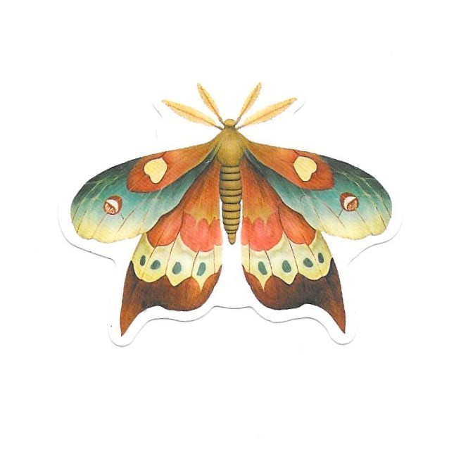 Io Moth Vinyl Sticker Vintage Butterfly Insect Journal Laptop Scrapbook Craft
