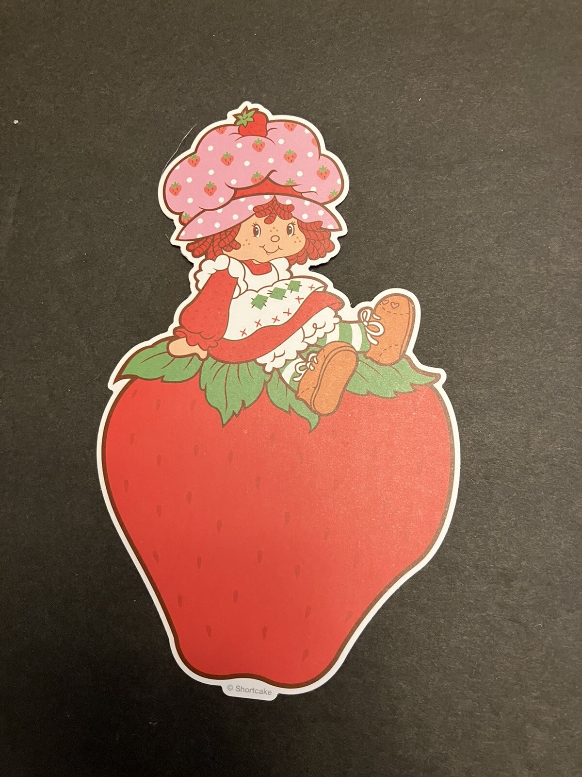 Strawberry Shortcake Matte Retro Vintage Design Stickers Pack Of 40