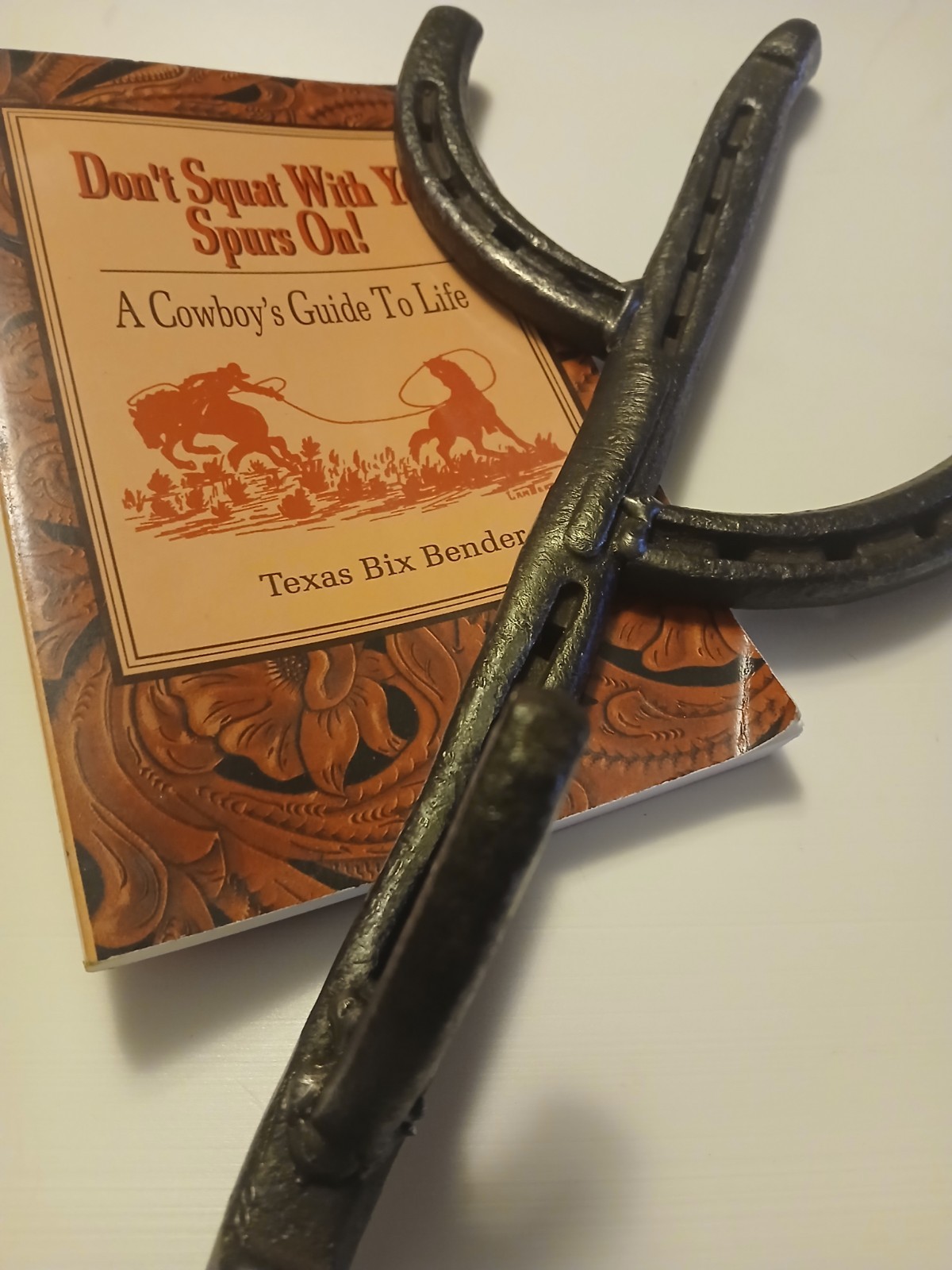 Lot* Forged Horseshoe Cactus Hat/Coat Hook, A Cowboy's Guide To Life Book INL449