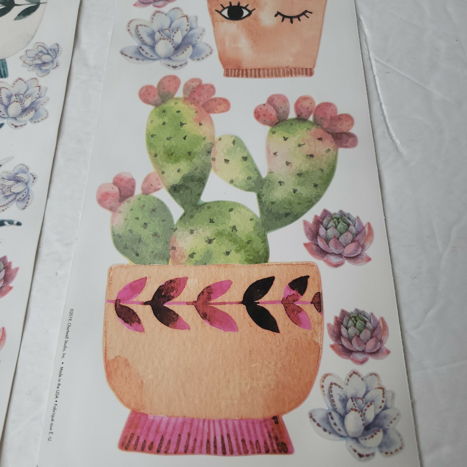 2 PKG NEW Friendly Succulents Cactus Plants Peel & Stick Wall Decals 290253