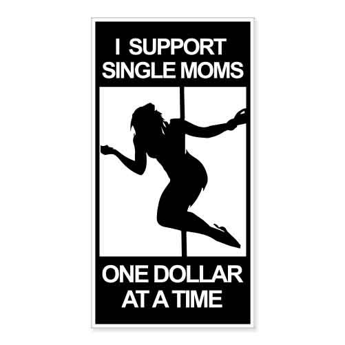 I Support Single Moms One Dollar At A Time car bumper sticker decal 6" x 3"