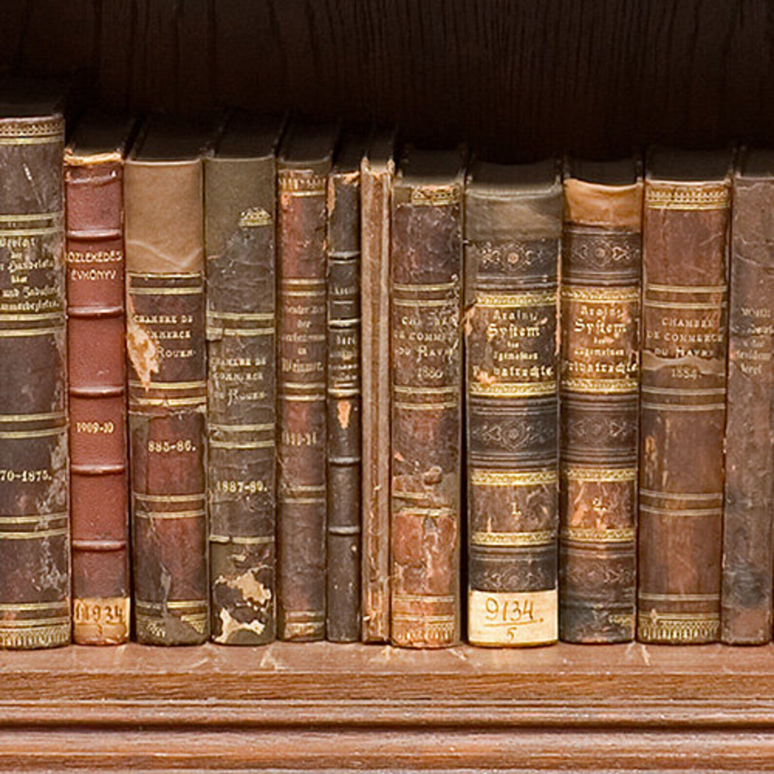 Fake Bookshelf Door Mural, Dementia Friendly. Antique Books 1-Piece Design