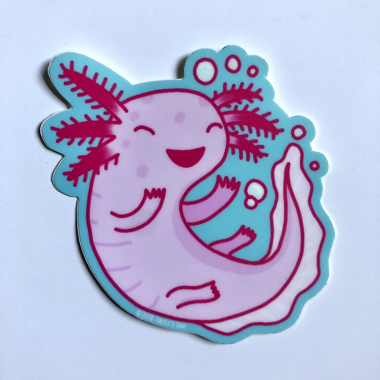 NEW! Turtle’s Soup SET OF 4 VINYL STICKERS / DECALS — 3×3” Magical Nature Theme