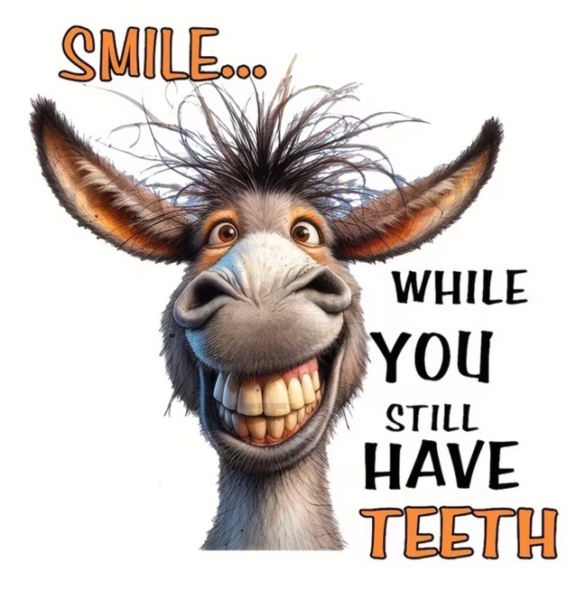 Smile While You Have Teeth Iron On Heat Transfers Vinyl T Shirts DIY Clothing