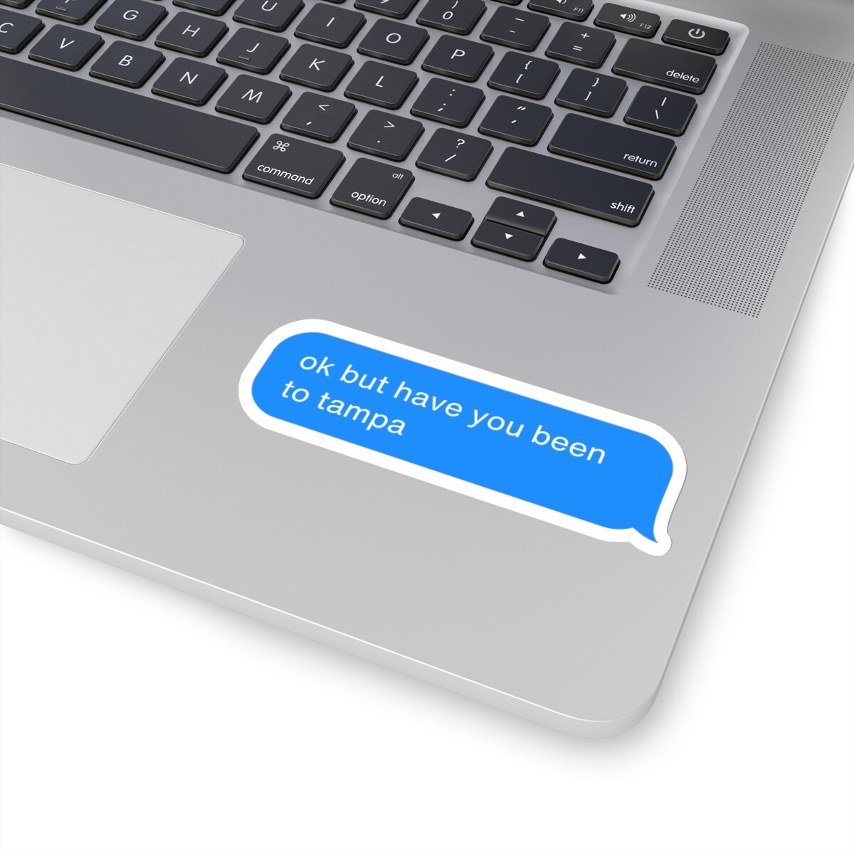 Tampa Sticker – Hold On Text, Travel Vacation Gift, Laptop Phone Bottle Decal