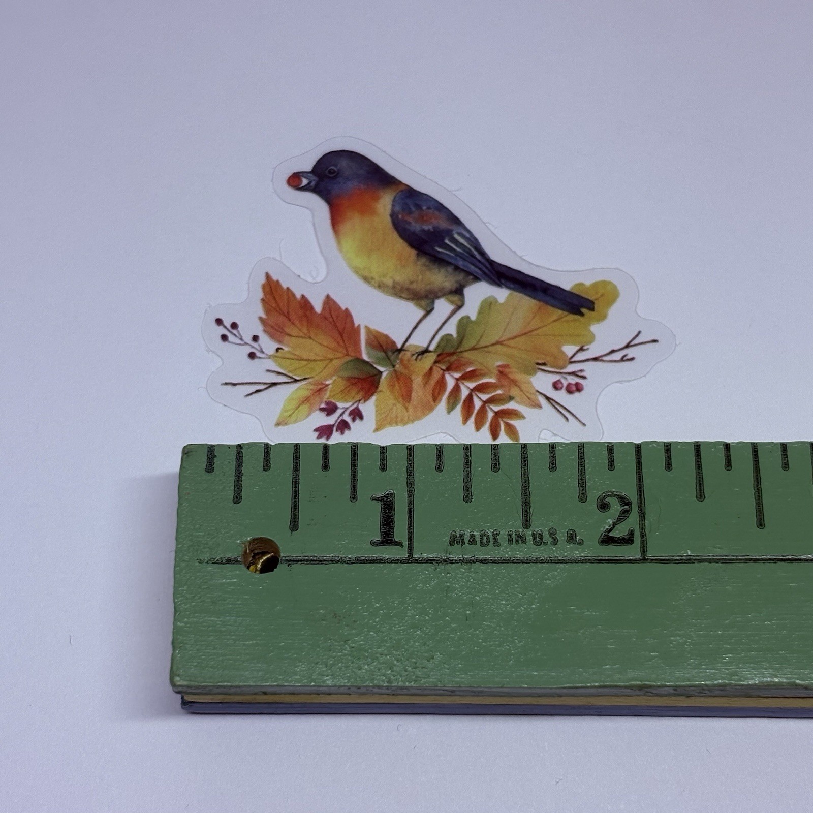 American Robin On Branch Sticker Animal Art Transparent Journal Decal VinylTc6