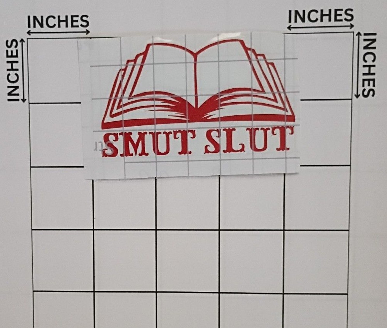 Smut reader Vinyl Decal romance book Sticker Car Window Laptop Decals 3 in
