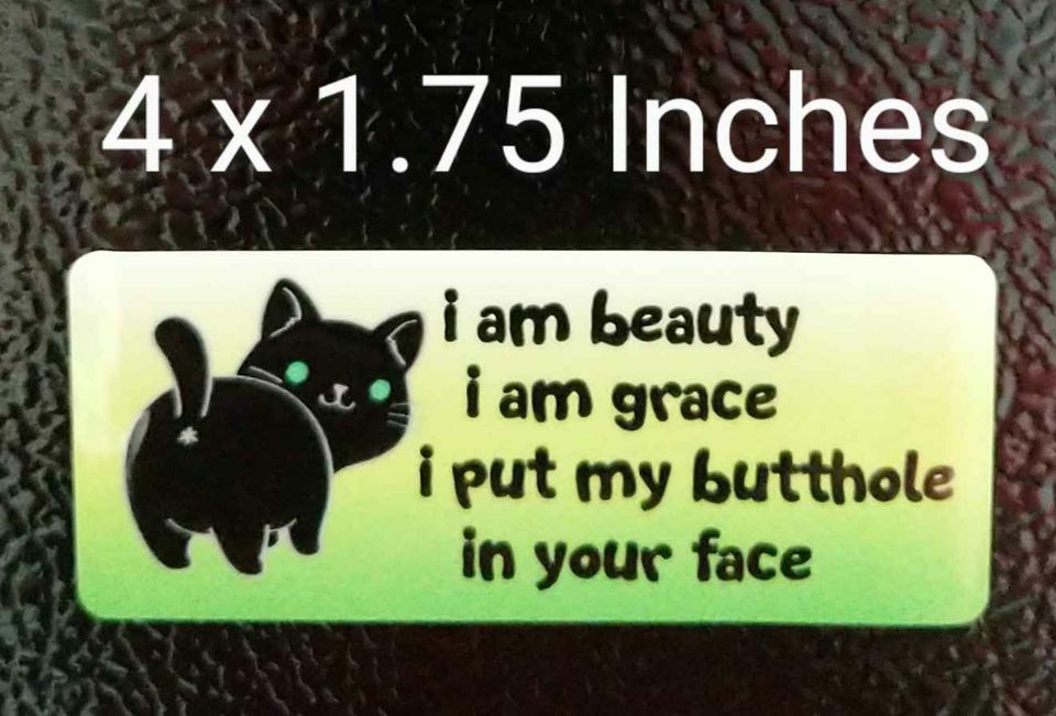 Beauty Grace Butt in Your Face Cat Decal 4 x 1.75" Kitty Humor Pet Lover Sticker