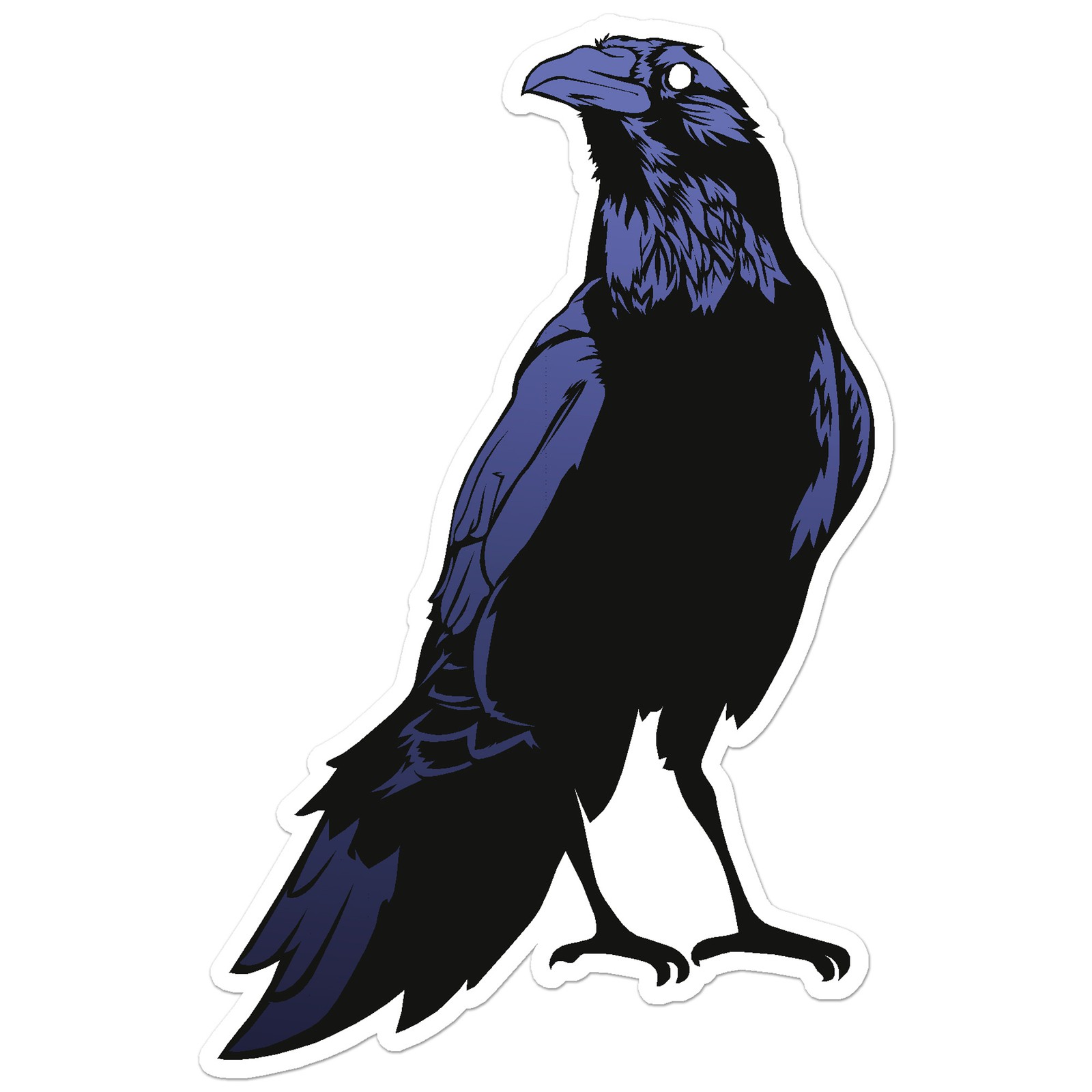 Crow Raven – Vinyl Decal Sticker – Car Window Laptop – ebn7665