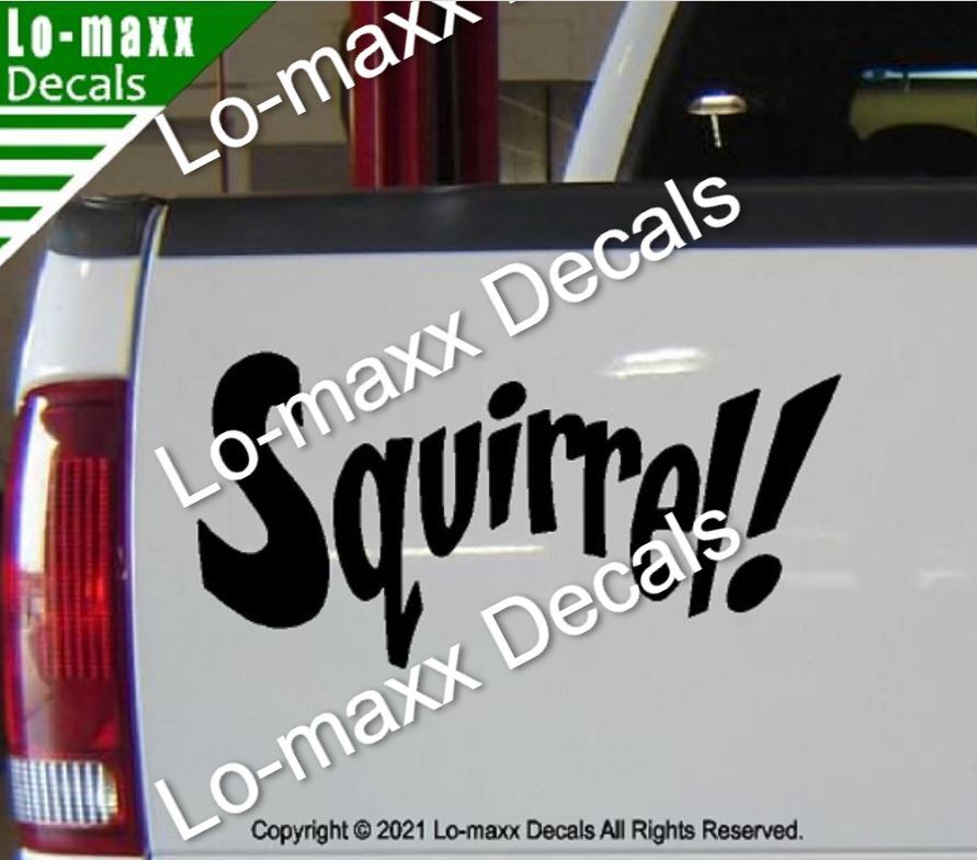 Squirrel! Funny Cute Original Custom Art High Performance Die Cut Vinyl Decal