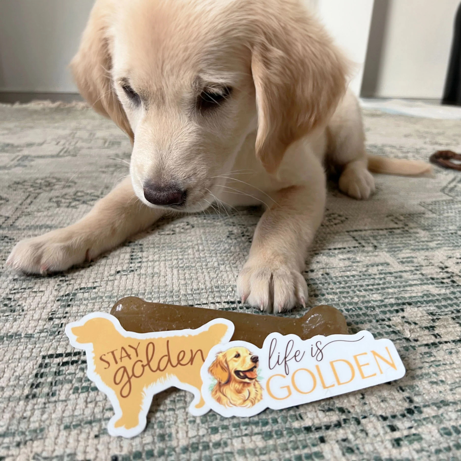 Stay Golden – Cute Golden Retriever Dog Sticker