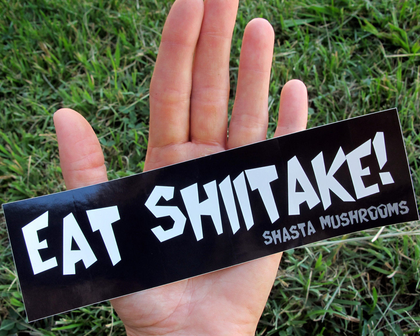 EAT SHIITAKE ! Large Sticker 7"x2" Mushroom Healthy Nutrition Funny Bumper Vinyl