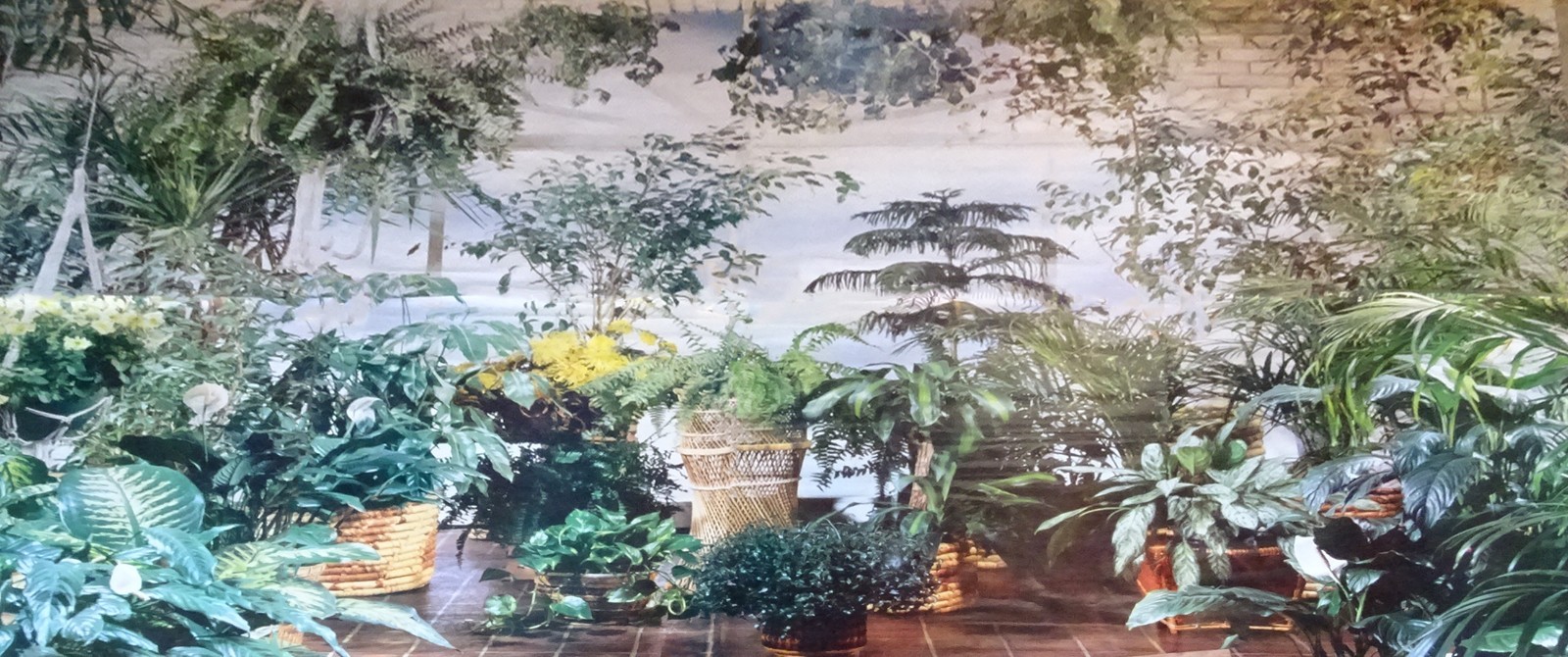 Full Wall Size Mural Tropical Plants Huge Window 8’ 8” x 12’ 6” NOS 108 Sq Ft A