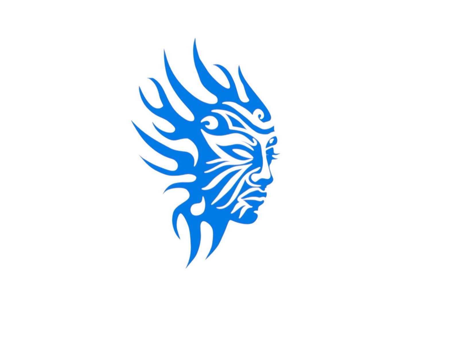 Tribal female warrior Decal for car Windows Laptops most Smooth Surfaces