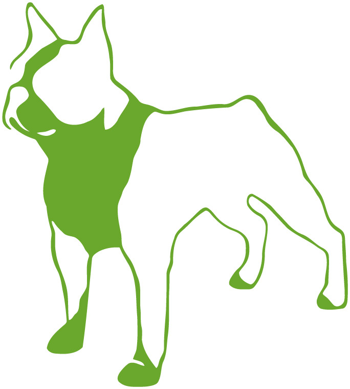 Boston Terrier Die Cut Vinyl No Background Multiple Colors Decal Made USA