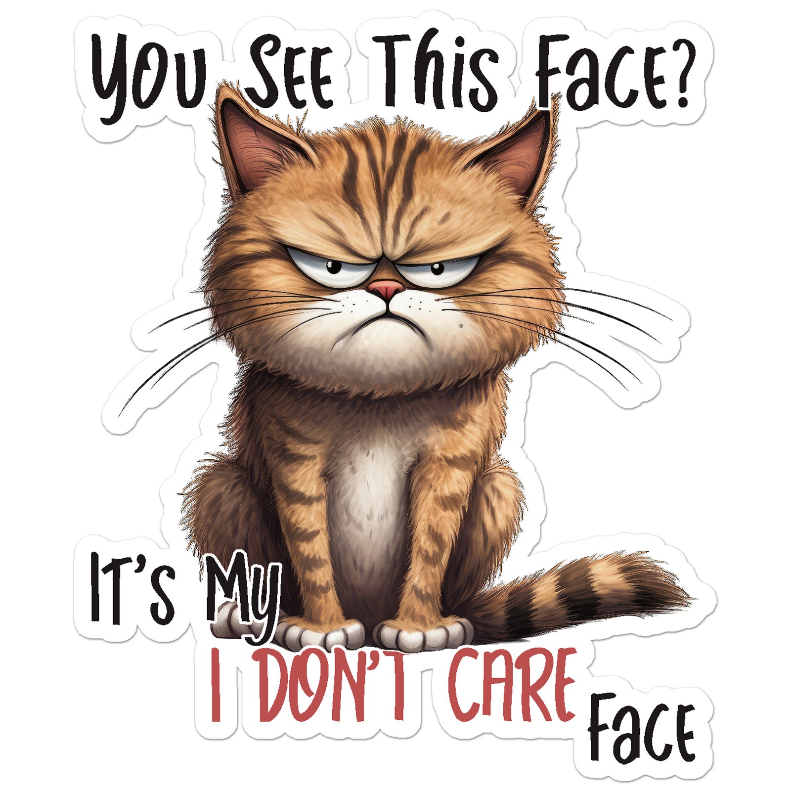 I Don't Care Face – Vinyl Decal Sticker – Car Window Laptop – ebn9785