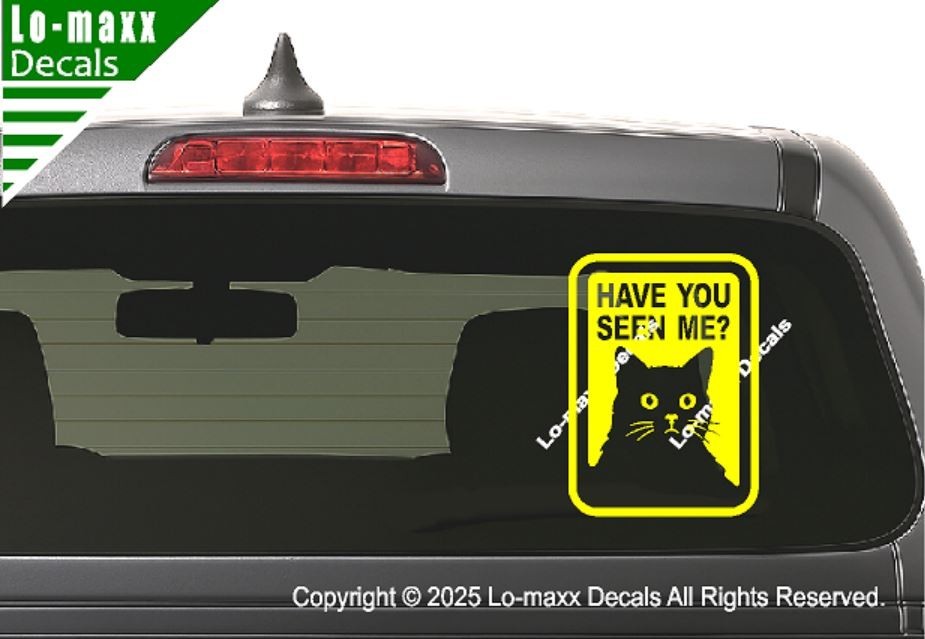 Have You Seen Me Lost Cat Sticker Art Funny Vinyl Decal For Laptop Door Locker