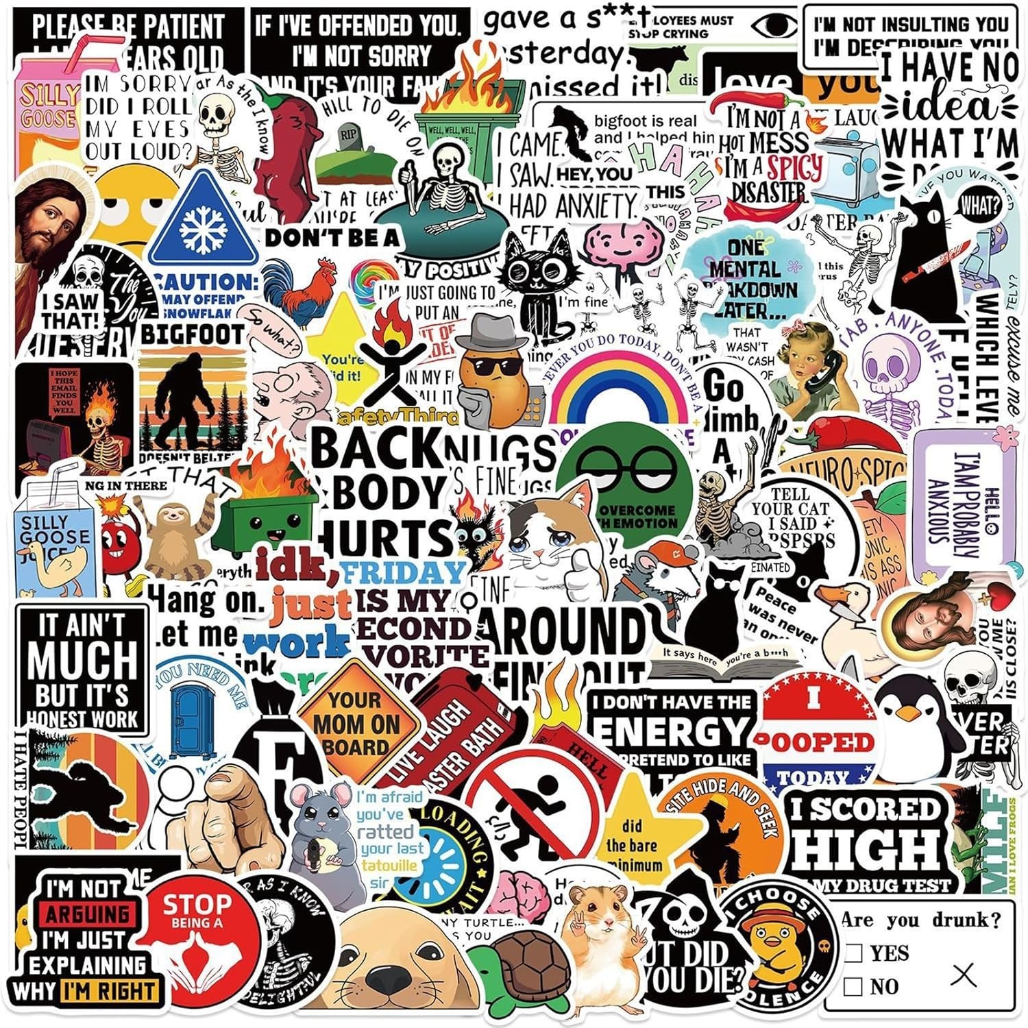 50 or 100 Pcs Funny Stickers for Adults (Dirty) Meme Water Bottles Sticker Pack