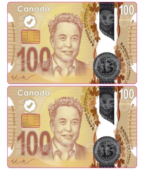 Elon Musk $100 Bill Card Skin Sticker Vinyl Debit ATM Parody Decal