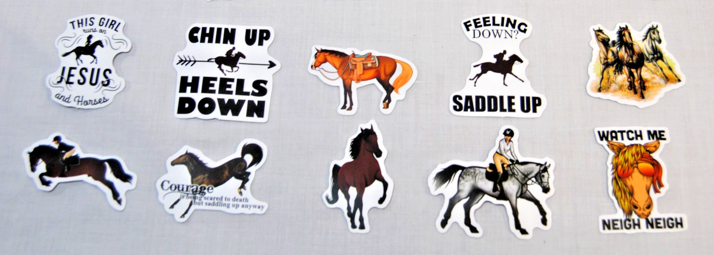 Horse Stickers for Laptop, Water Bottles Plus for Kids to Adults 200Pcs T2694