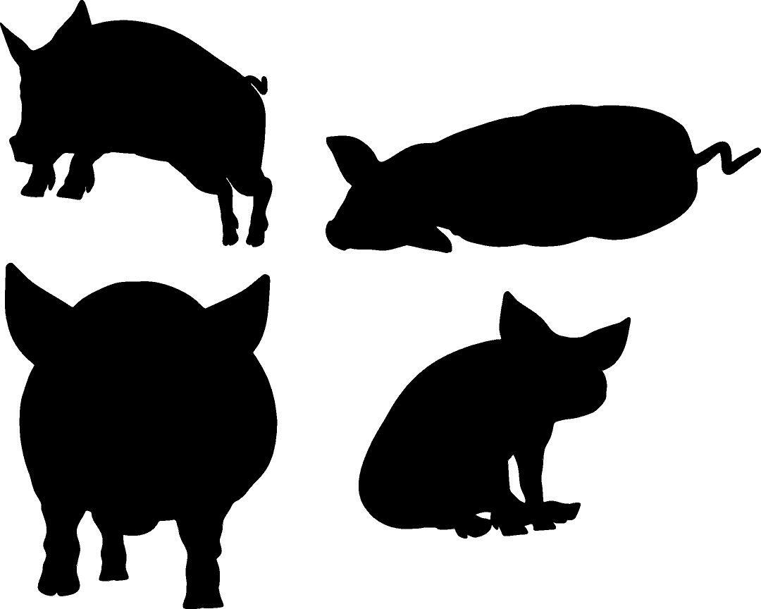 Pigs Assorted – 4 in Set Vinyl Decal Home Décor 12" x 15"