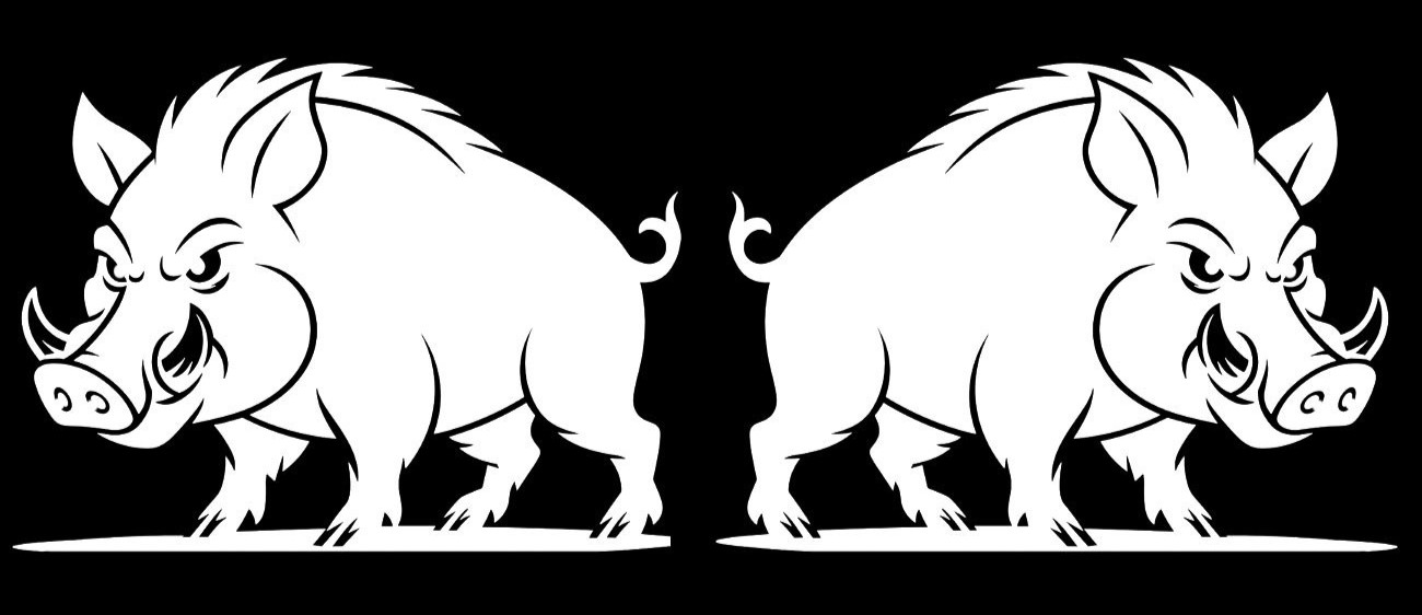 Wild Boar Pig Two Pack 5" Vinyl Decals Car Truck Window Any Flat Surface