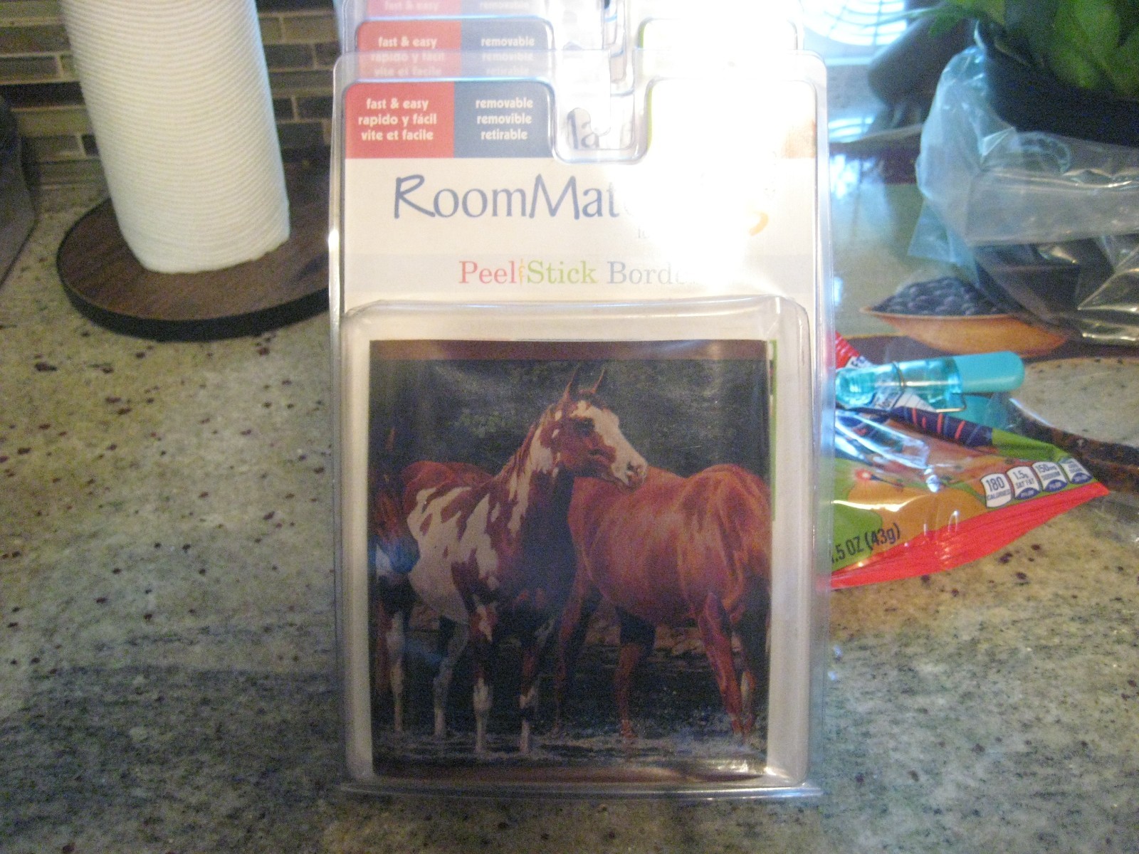 Horse Wall Decor Room Mates Kids Equestrian Decals Peel Stick BORDER