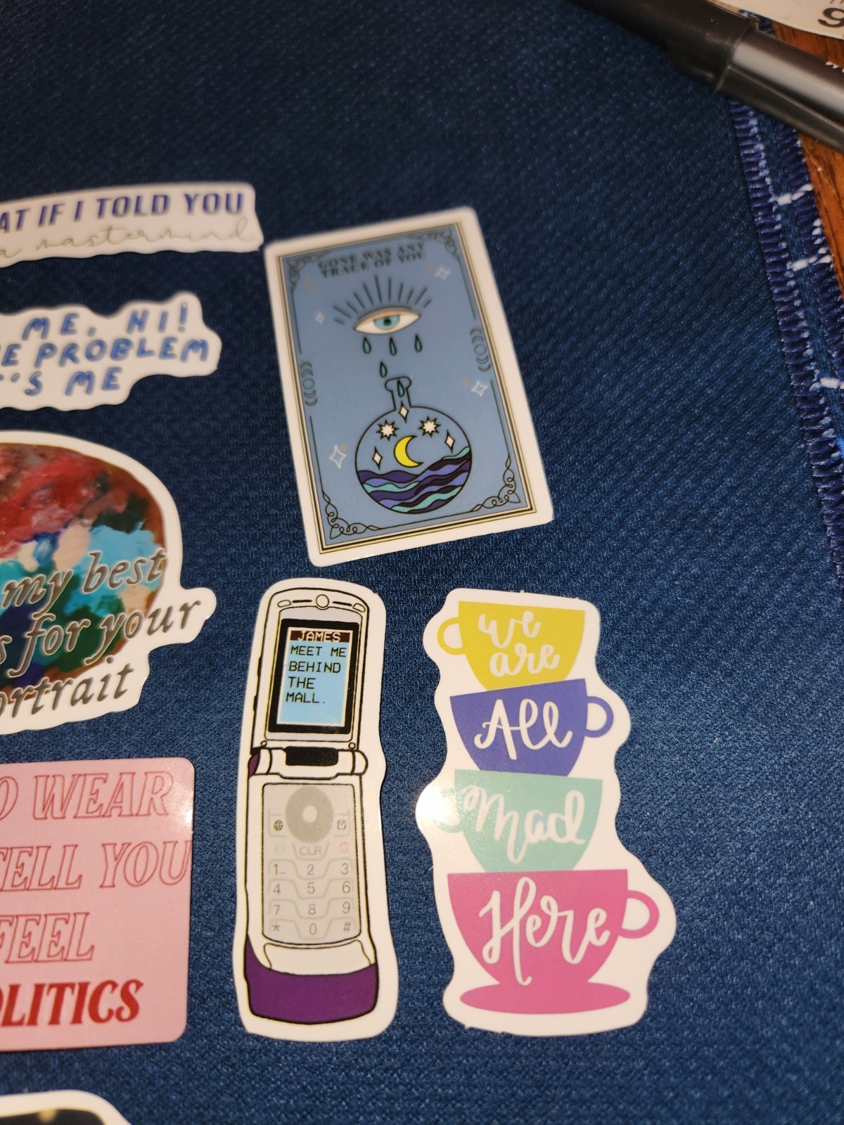 15 Taylor Swift Things Said Stickers, Swiftie, Laptop Stickers, Swiftie Decals