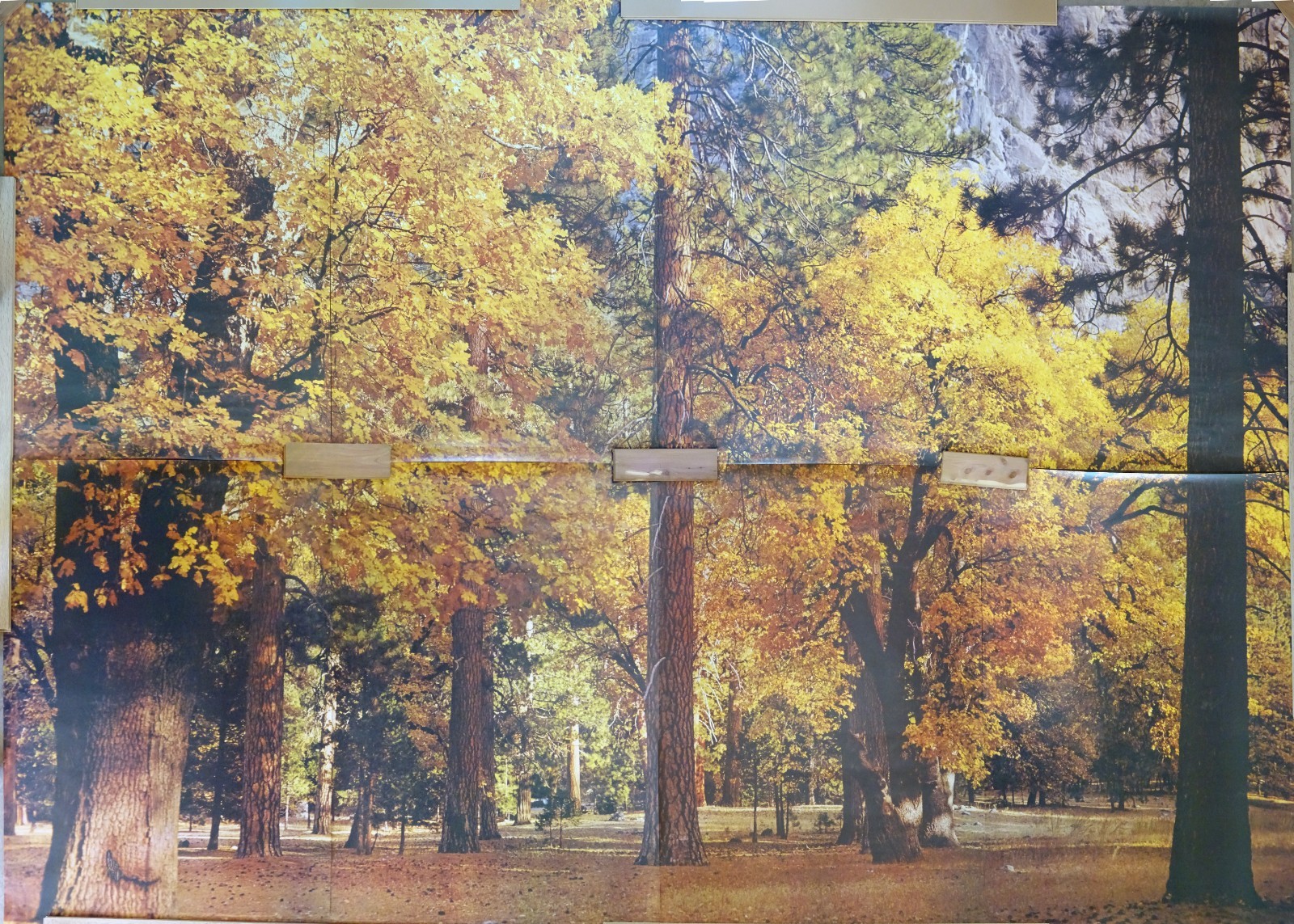 Full Wall Photo Mural Autumn Yosemite National Park Josef Muench 8’ 8” x 12’ 6”