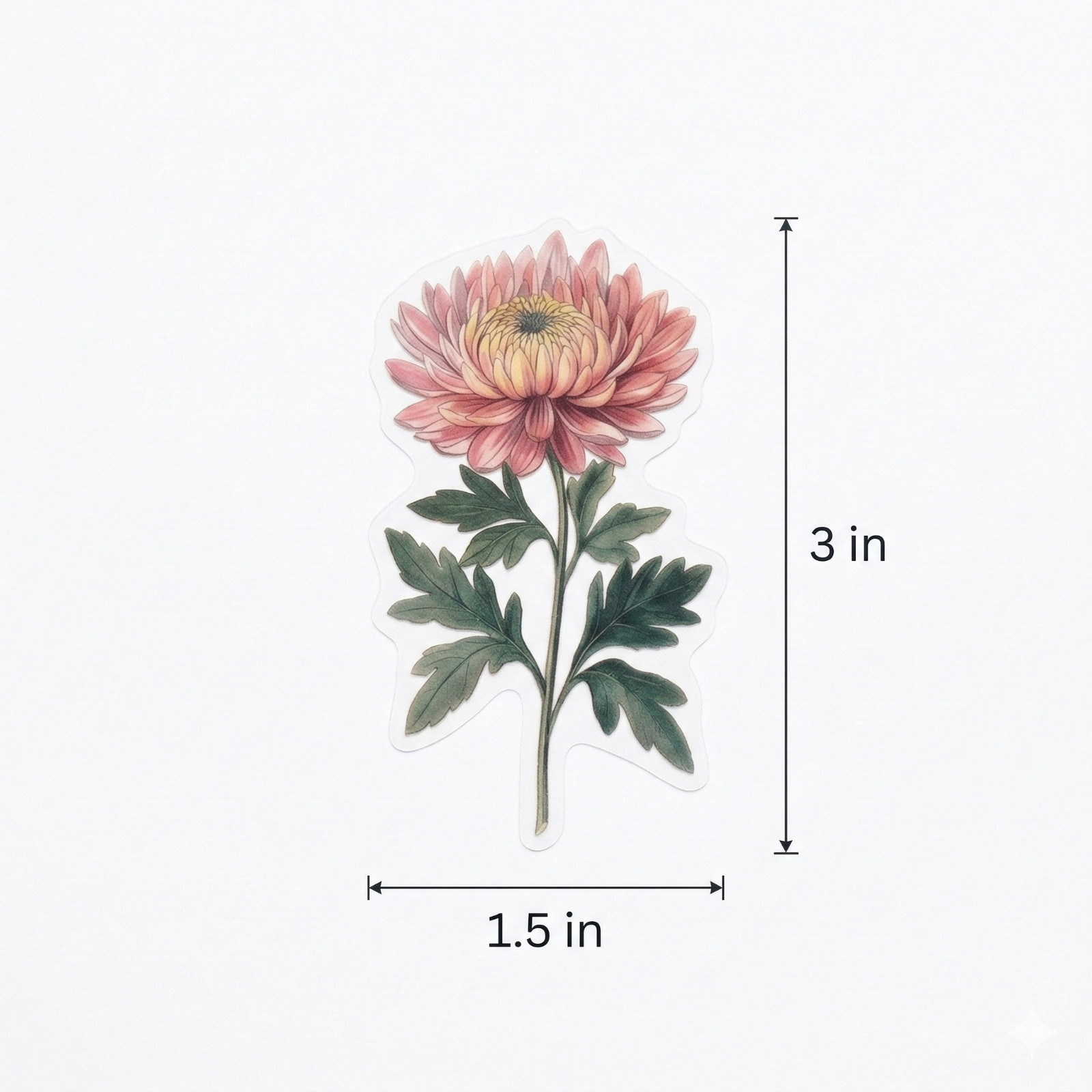 Aesthetic Pink Mophead Chrysanthemum Sticker |Botanical Flower Journaling Decal