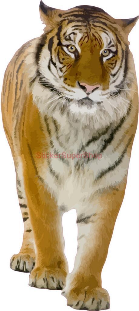 TIGER ARTWORK Wild ANIMALS Decal Removable WALL STICKER Home Decor FREE SHIPPING