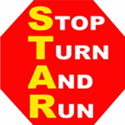 star-stop-think-act-review, N-13
