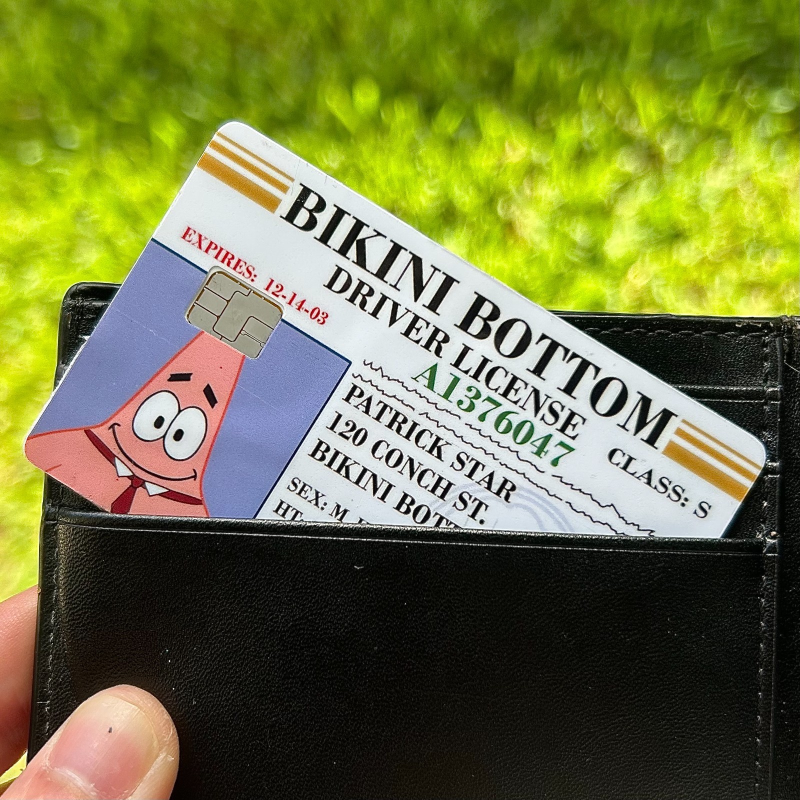 Patrick License Credit Debit Card Skin Cover Sticker Chip Funny Decal – 2 Pack
