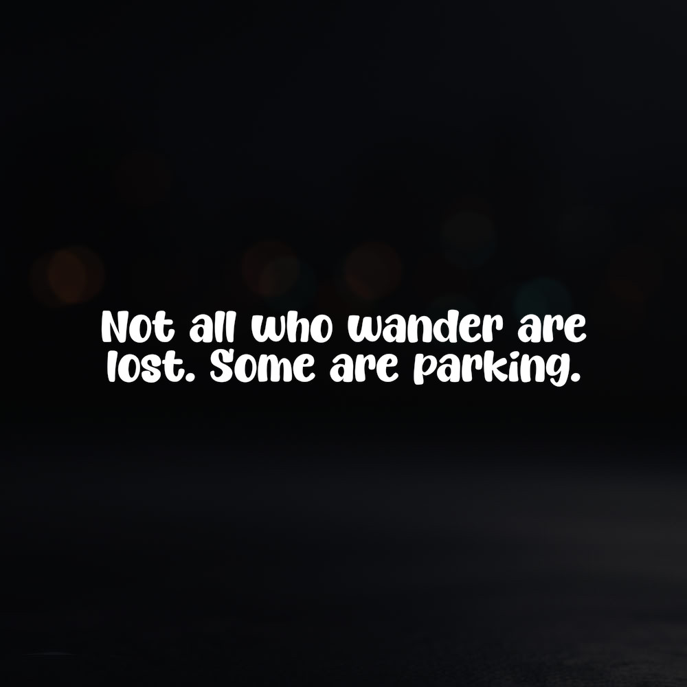 8in Vinyl Decal Sticker – "Not all who wander are lost. Some are parking."