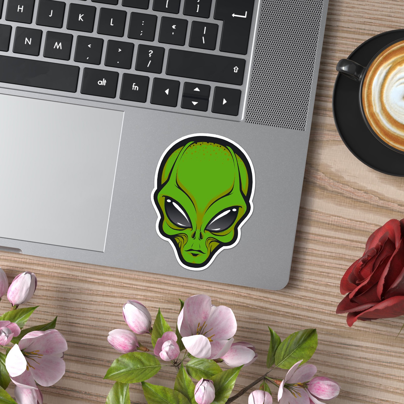 Alien UFO – Vinyl Decal Sticker – Car Window Laptop – ebn7886