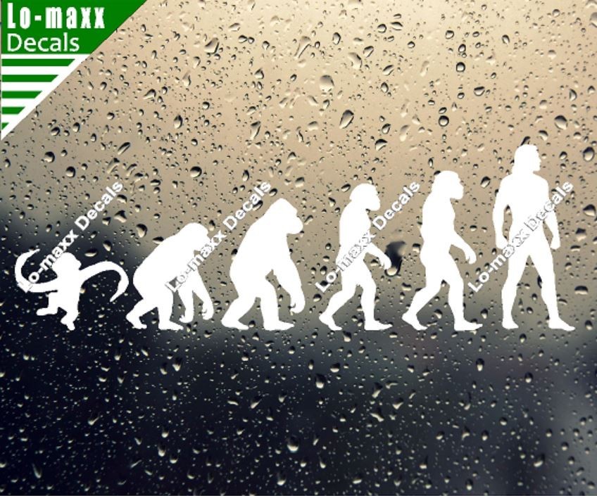 Evolution Of Barrel Of Monkeys Funny Ape To Man Vinyl Decal Sticker Art