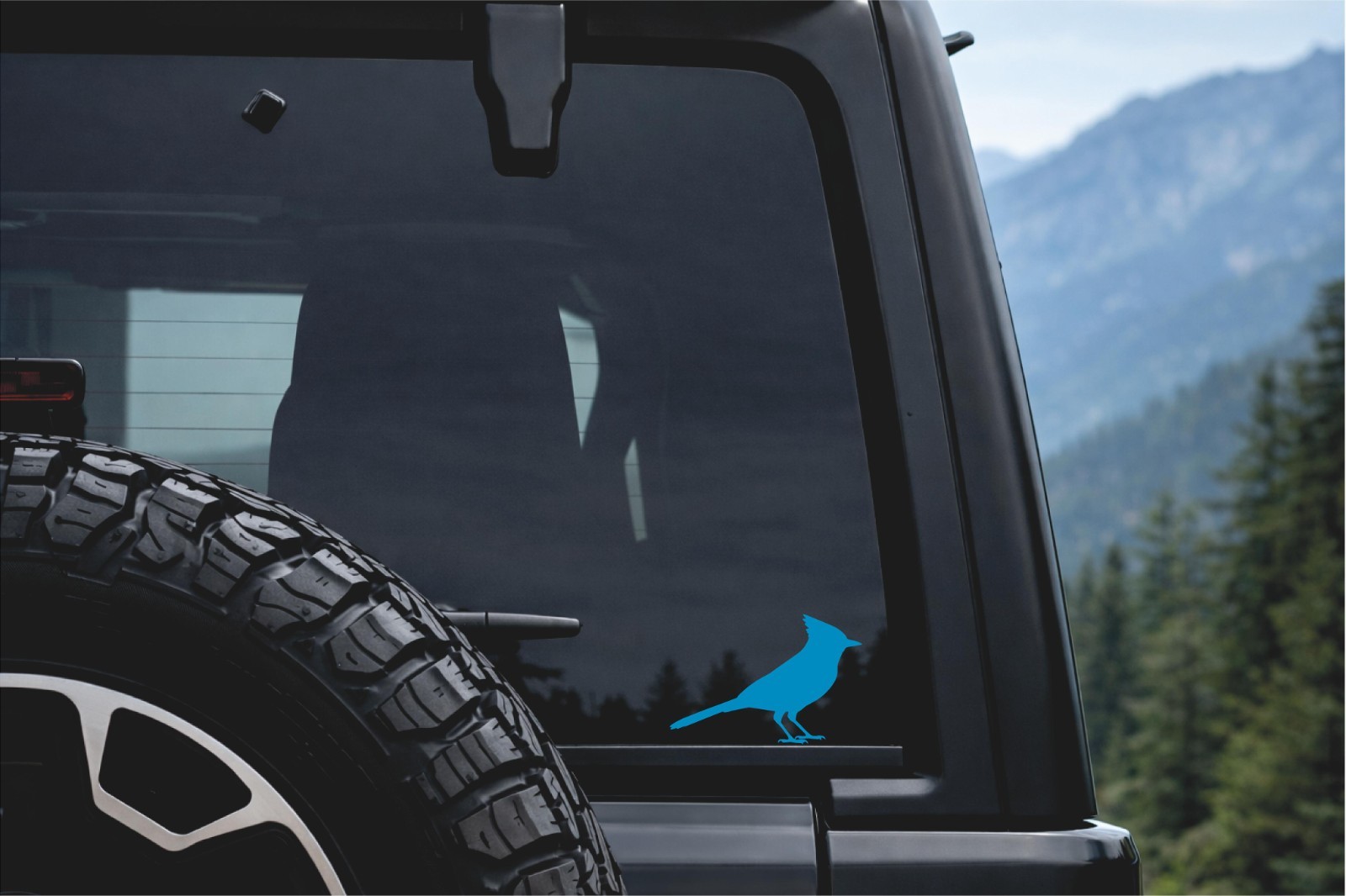 Blue jay Bird Standing Wildlife Bird Vinyl Decal Window Silhouette Wild birds st