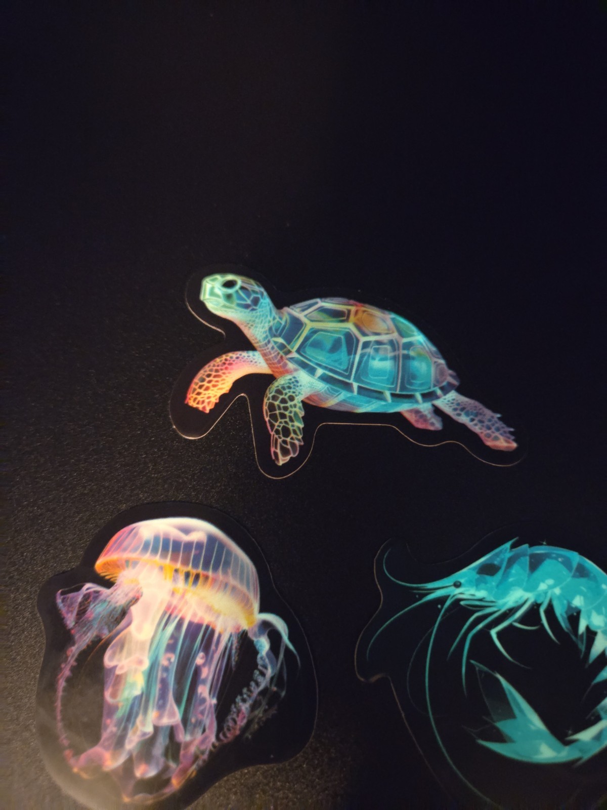 Ocean Themed Glow In The Dark Stickers!! Vinyl Waterproof – Turtle Shrimp Jelly