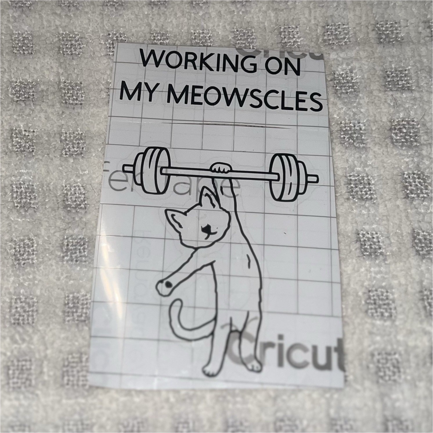 Cricut Cat Humor 'Working On My Meowscles' Black Vinyl Decal/Sticker