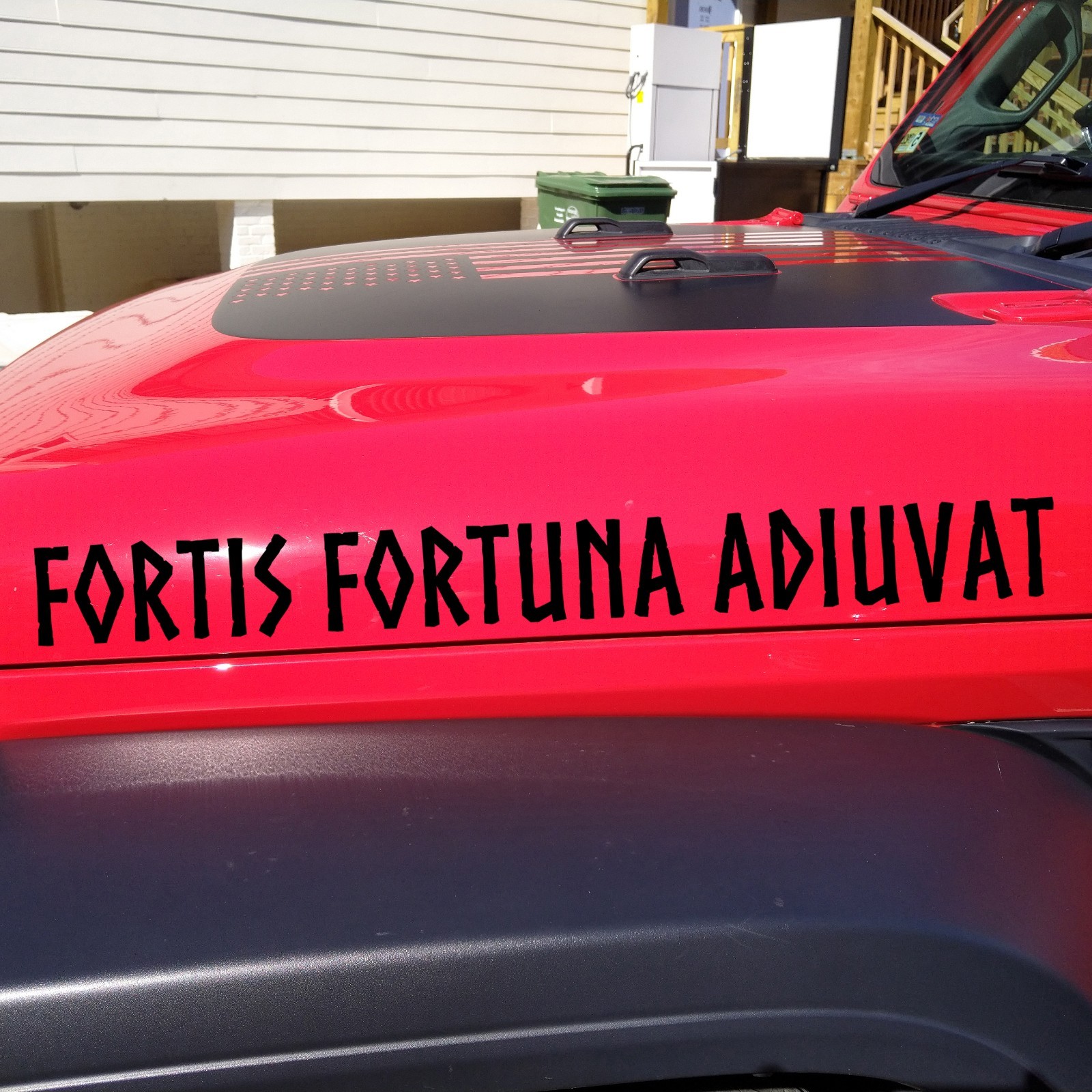 Fortis Fortuna Adiuvat Fortune Favors Bold Vinyl Sticker Decal Latin Motto