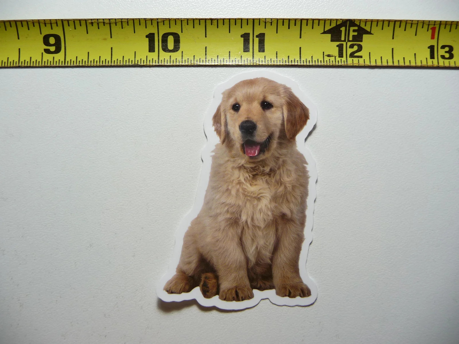 YOUNG YELLOW LABRADOR DOG SMALL STICKER DECAL WILDLIFE PRESERVE NATURE ANIMAL