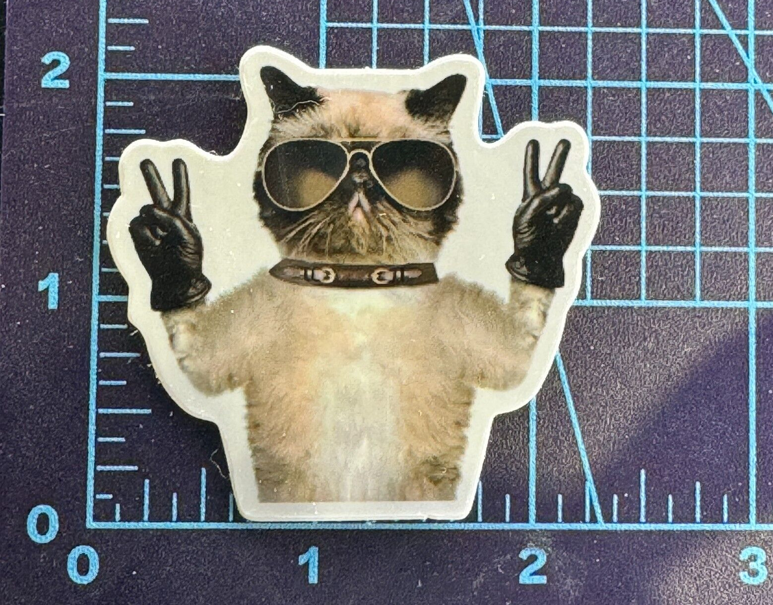 Hip Hop Cat In Sunglasses – Vinyl Sticker Decal Sticker Bomb Statement Tough Guy
