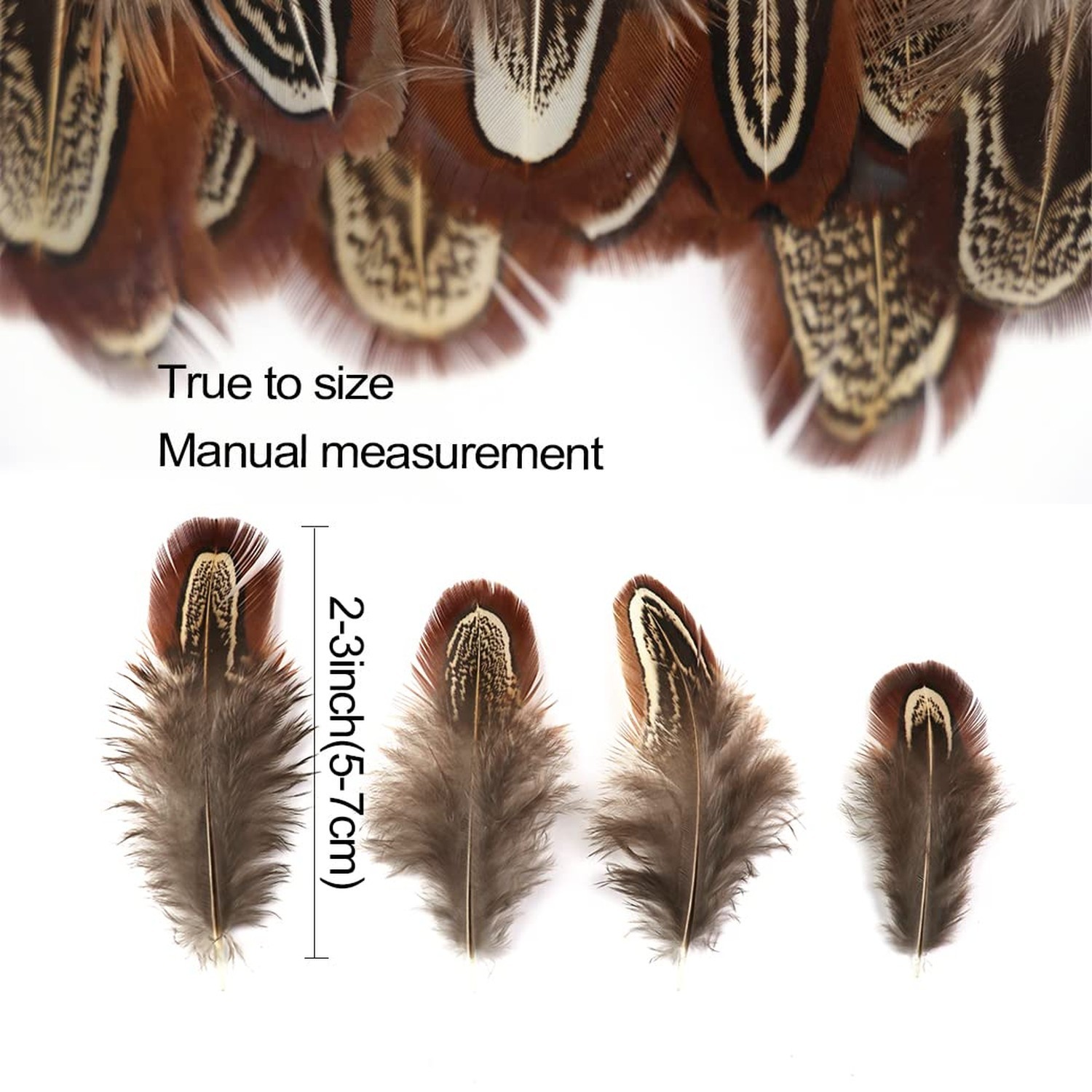50 Pcs Natural Pheasant Feathers 2-3 Inches Plumage for Crafts Clothing Sewin…