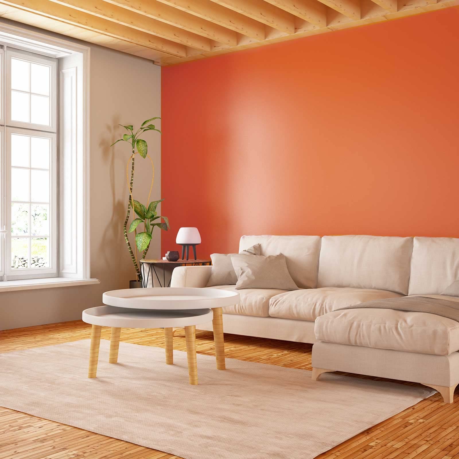 Orange Peel and Stick Wallpaper, 15.7 X 78.7 Inches Renter Friendly Wallpaper, V